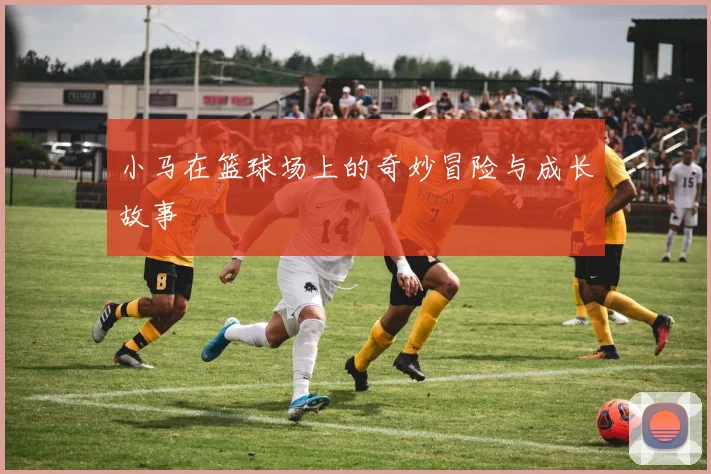 小马在篮球场上的奇妙冒险与成长故事